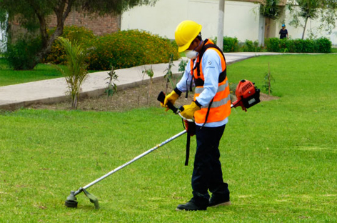 SERVICIO DE JARDINERIA