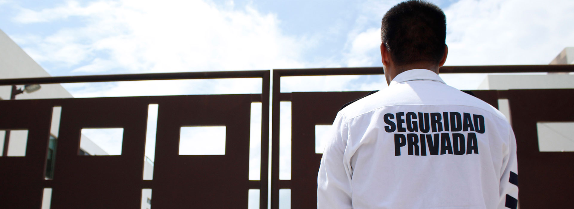 SISTEMAS ELECTRONICOS DE SEGURIDAD